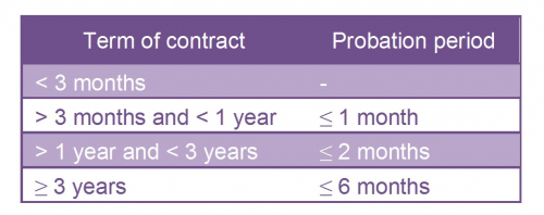 term of contract.jpg